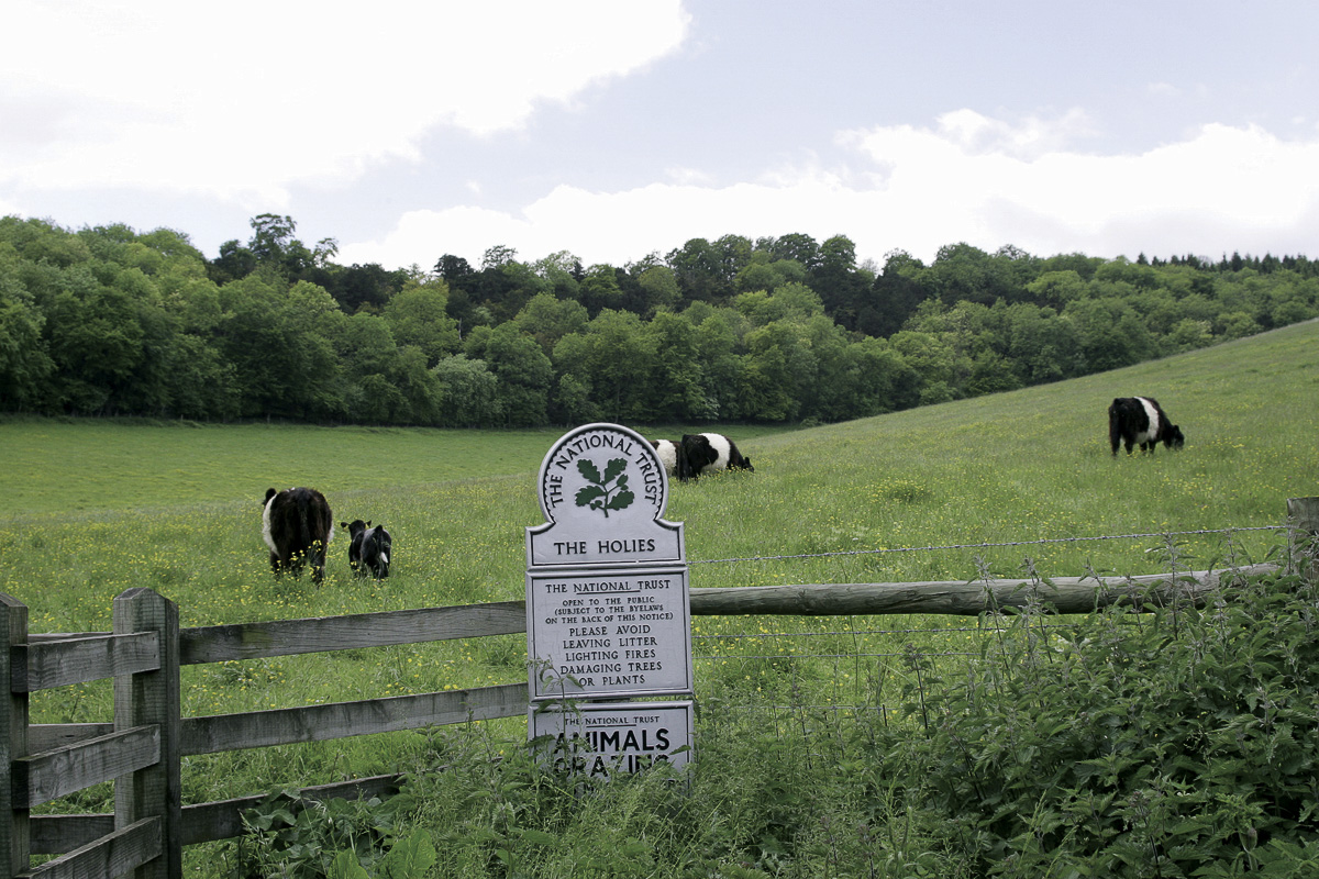 YHA Streatley-1.jpg